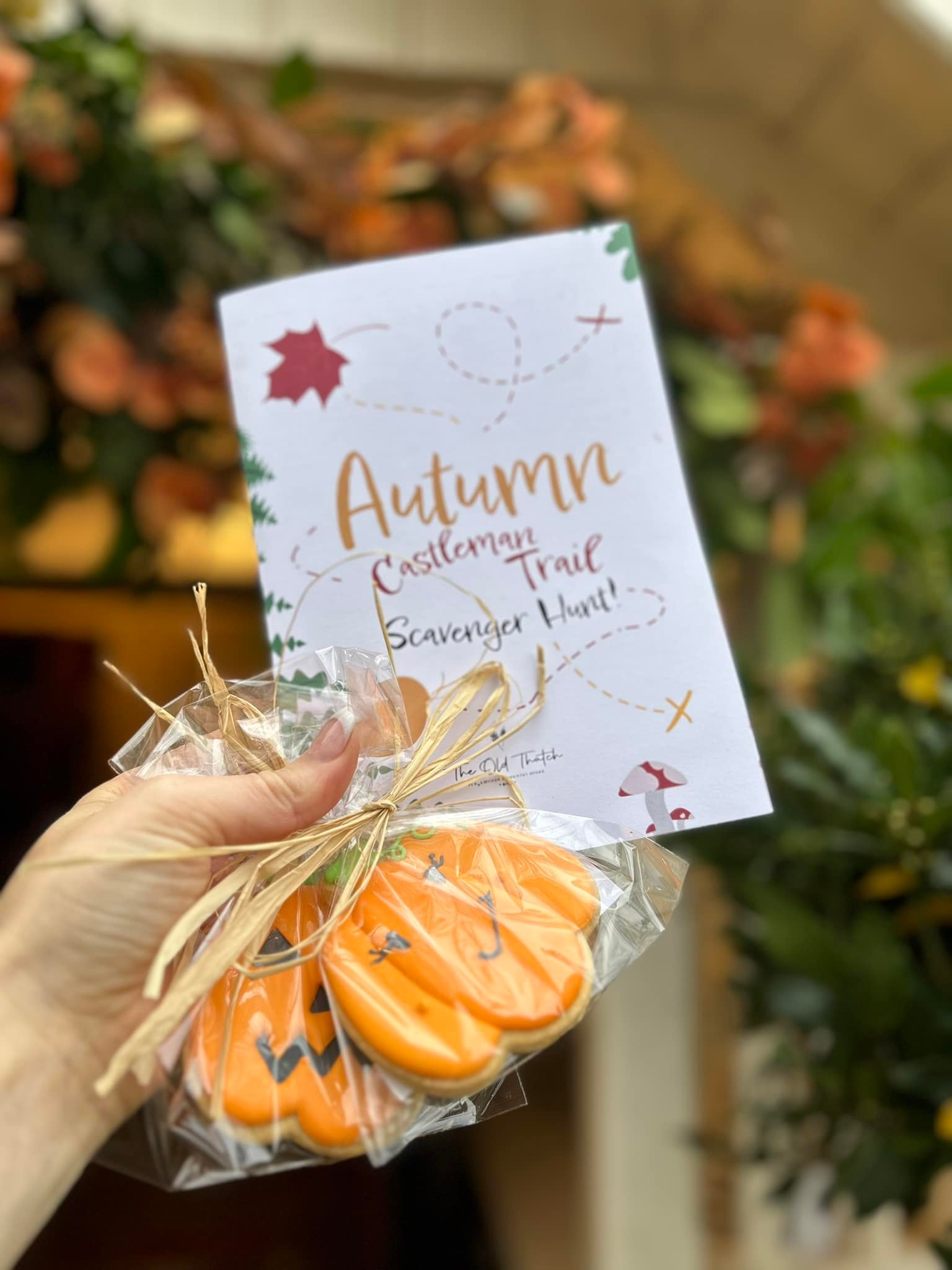 Autumn Castleman Trail Scavenger Hunt