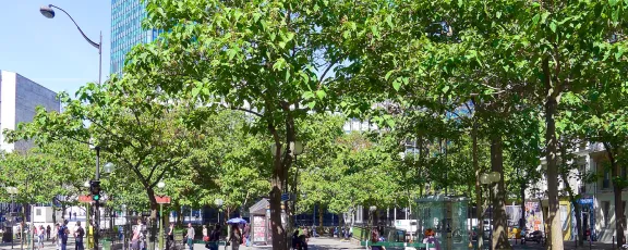 Saint-Victor district