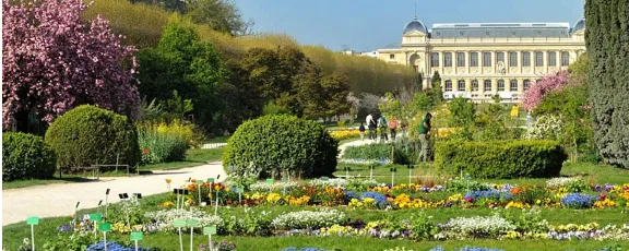 Quartier du Jardin-des-Plantes