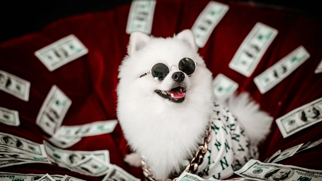 6 façons de gagner de l'argent dans l'immobilier