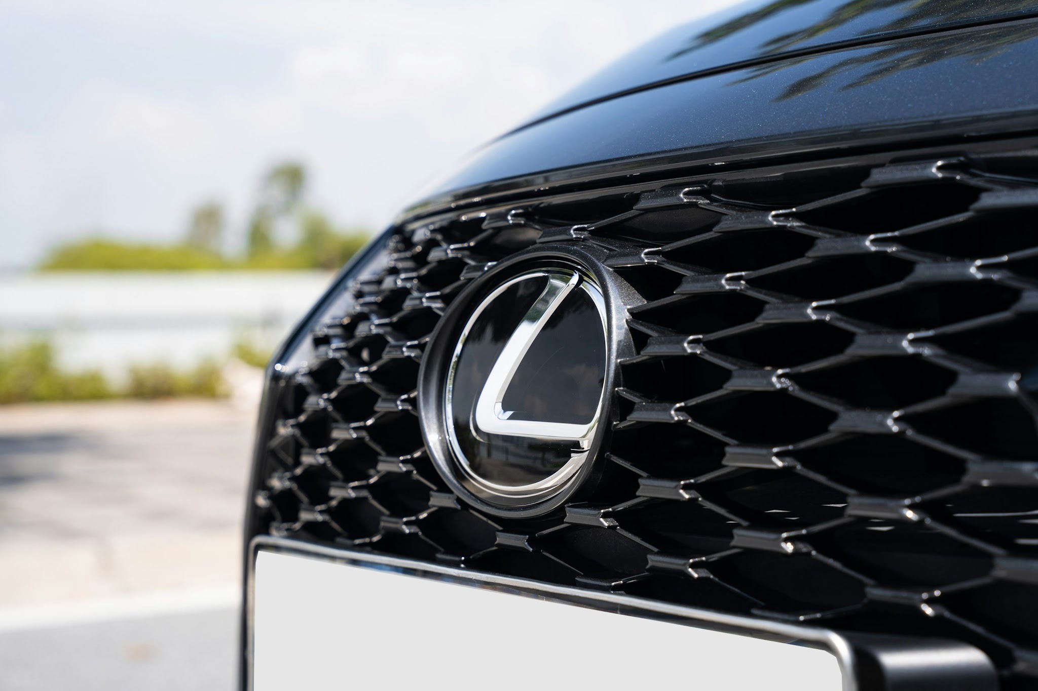 Lexus logo on the grill