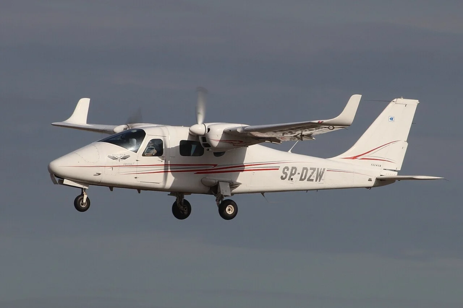 AD 2026-19-06 — The One-Dollar Pin: Tecnam P2006T Aileron Hinge