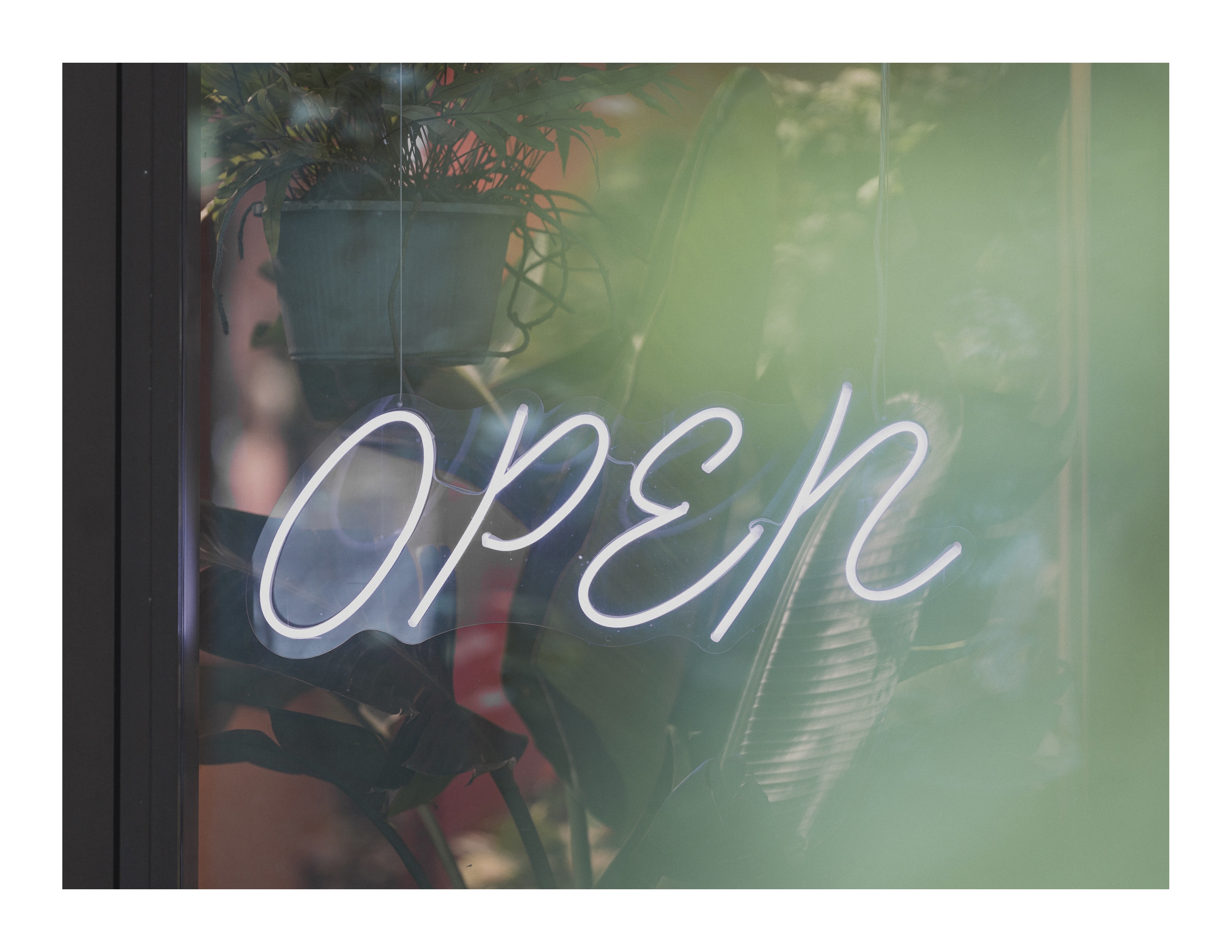 White neon “Open” sign photographed through window with reflections and foliage