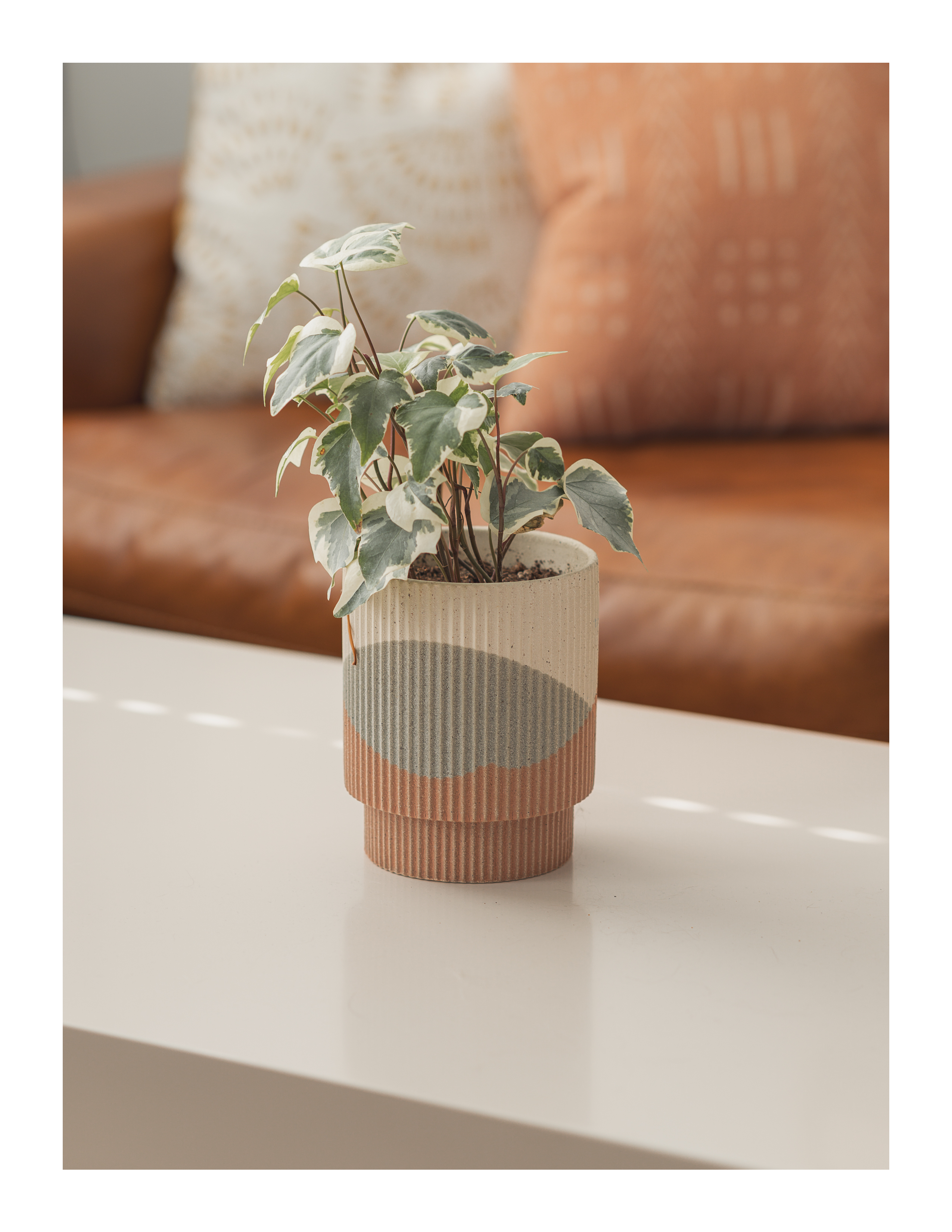 Potted houseplant in ribbed ceramic planter on white table with leather couch in background