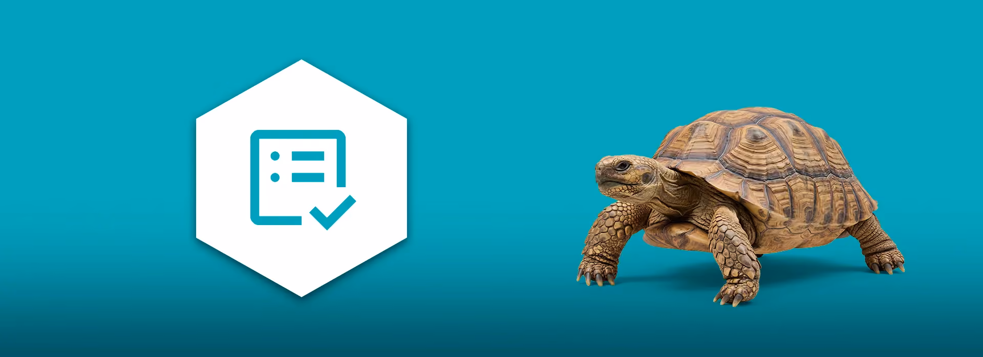 Een afbeelding met een groenblauwe achtergrond. Links staat een witte zeshoek met een blauw checklist-picotgram. Rechts staat een schildpad die symbool staat voor de traagheid van ICT systemen.