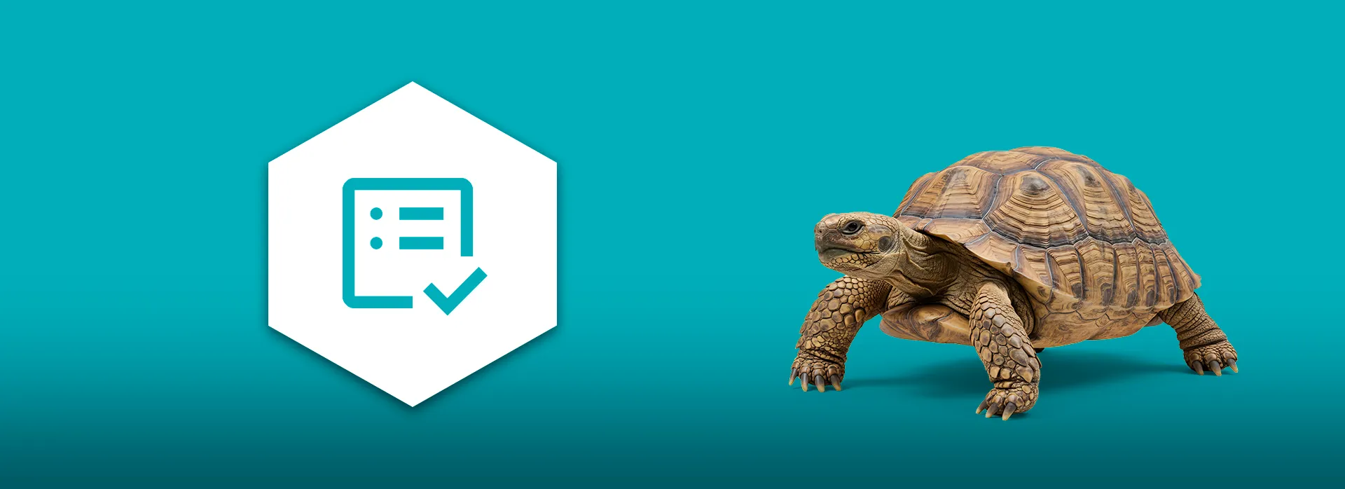 Een afbeelding met een groenblauwe achtergrond. Links staat een witte zeshoek met een blauw checklist-picotgram. Rechts staat een schildpad die symbool staat voor de traagheid van ICT systemen.