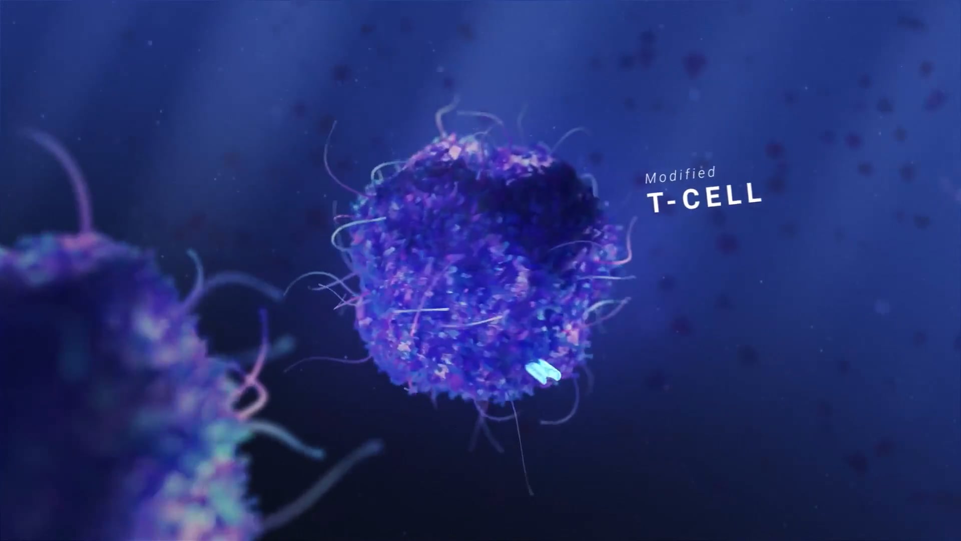 Modified T-cell illustration with purple and blue coloring against dark blue background