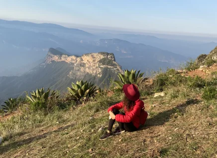 Ventana a la Sierra Gorda
