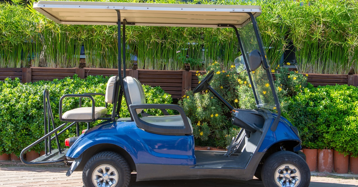 Golf cart with four seats, a large roof, a windshield, and all-terrain tires parked roadside next to small bushes.