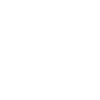 Susi Sauber