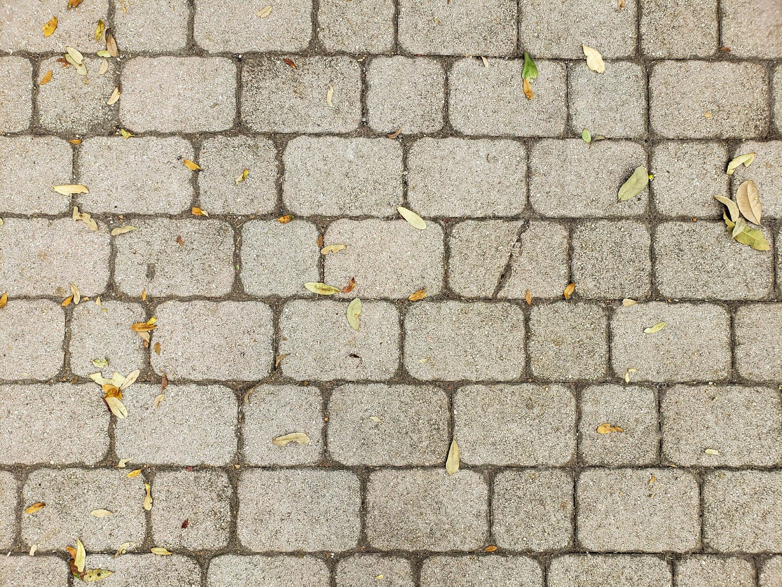 A close-up of traditional interlocking concrete pavers covered with some scattered leaves.