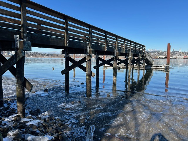 Surrey Public Wharf Repair