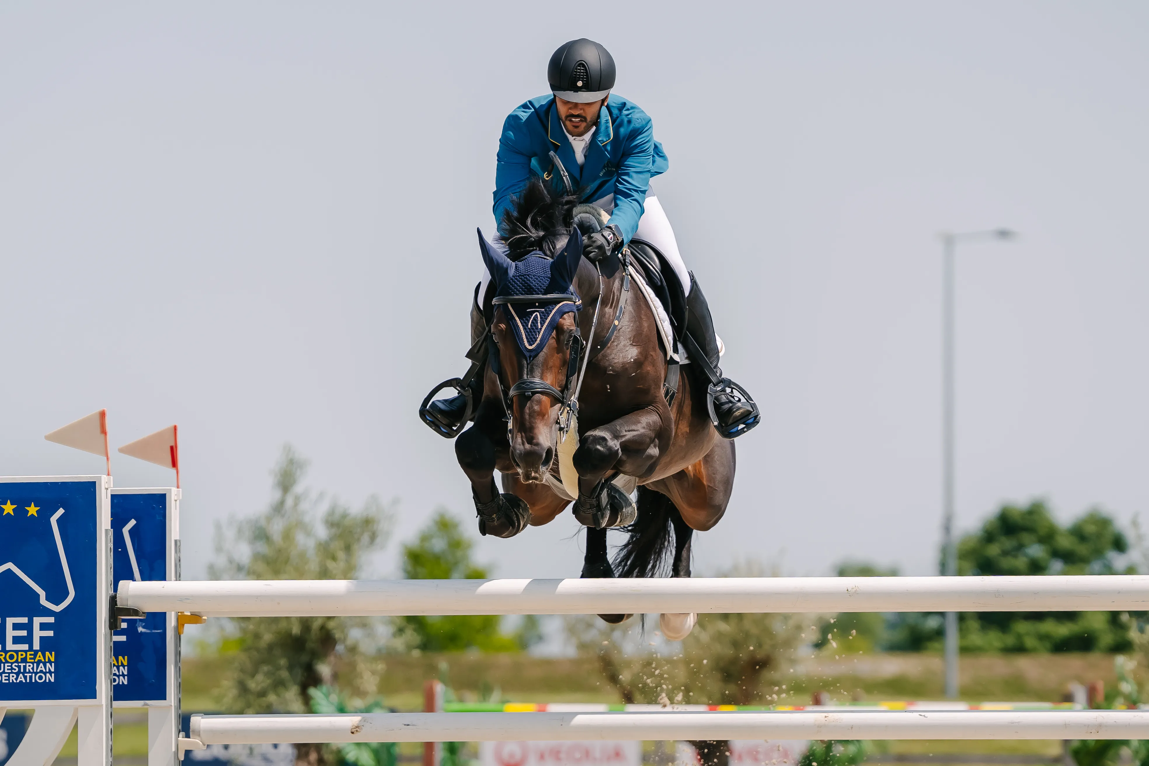 photographie horse jumping