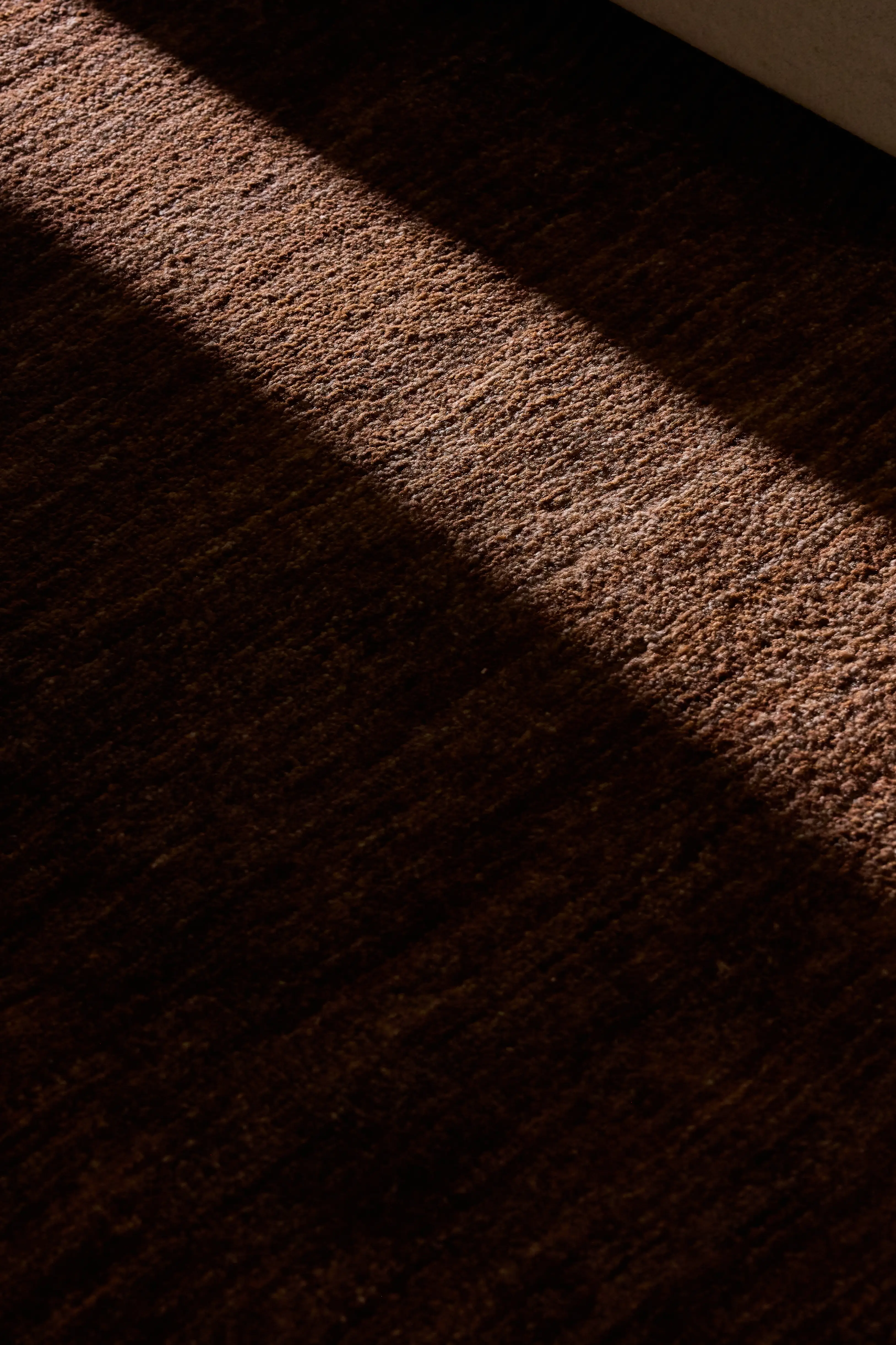 Sunlight casting a diagonal shadow on a textured brown carpet near a wall.