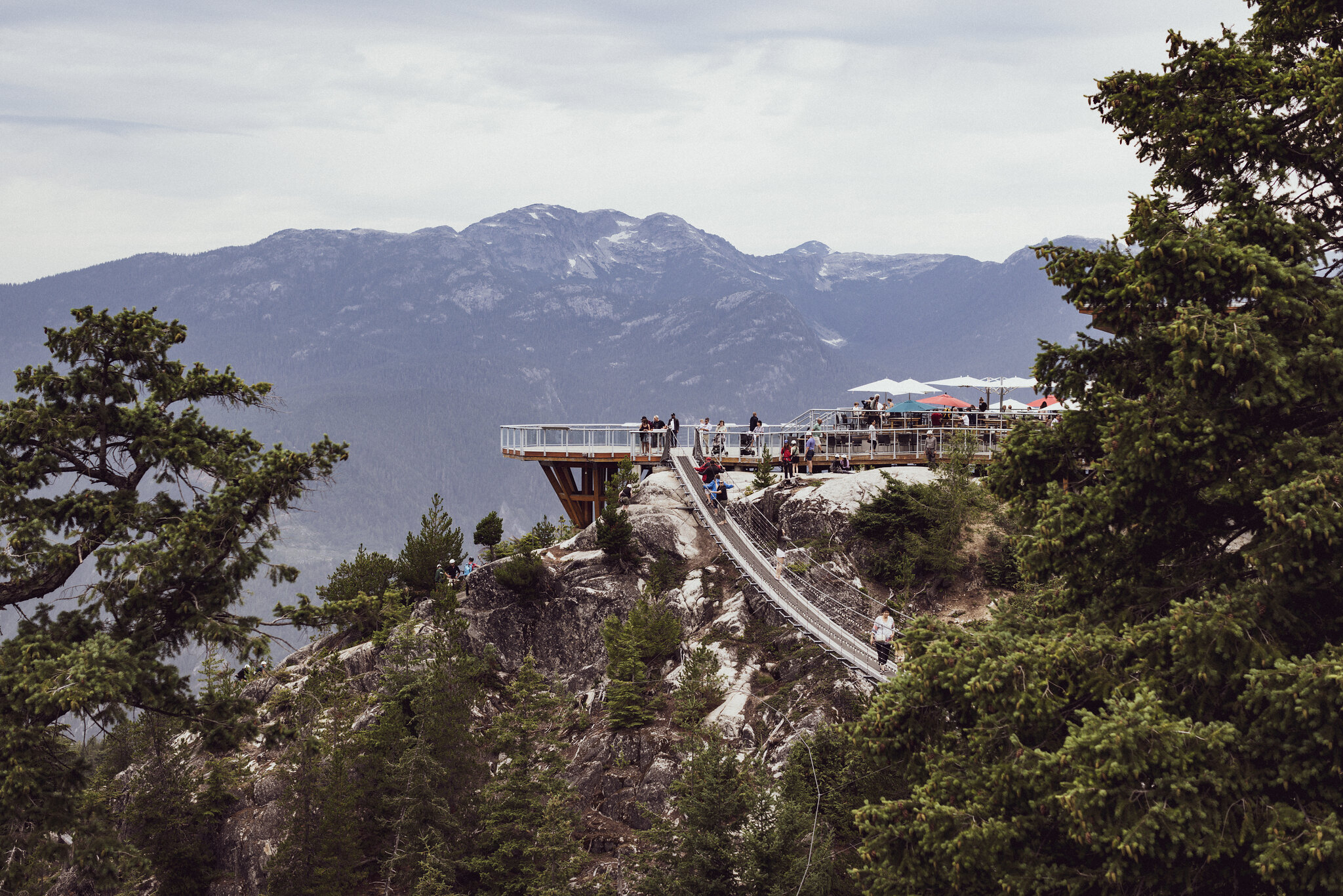A cliffside viewing platform and suspension bridge dotted with visitors, snow-capped coastal mountains beyond.