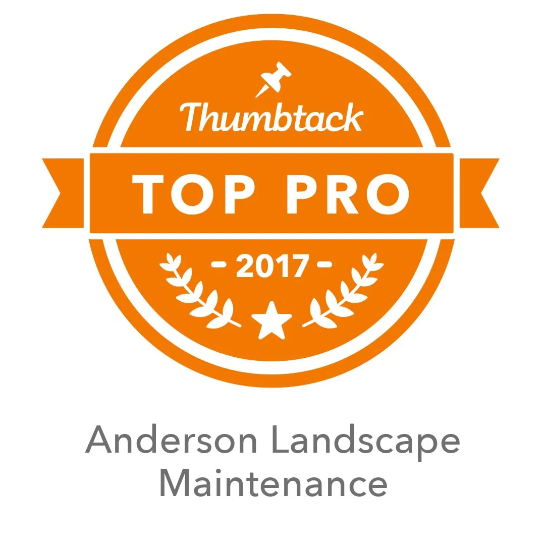 thumtack top pro 2017