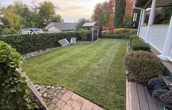 yard after landscaping