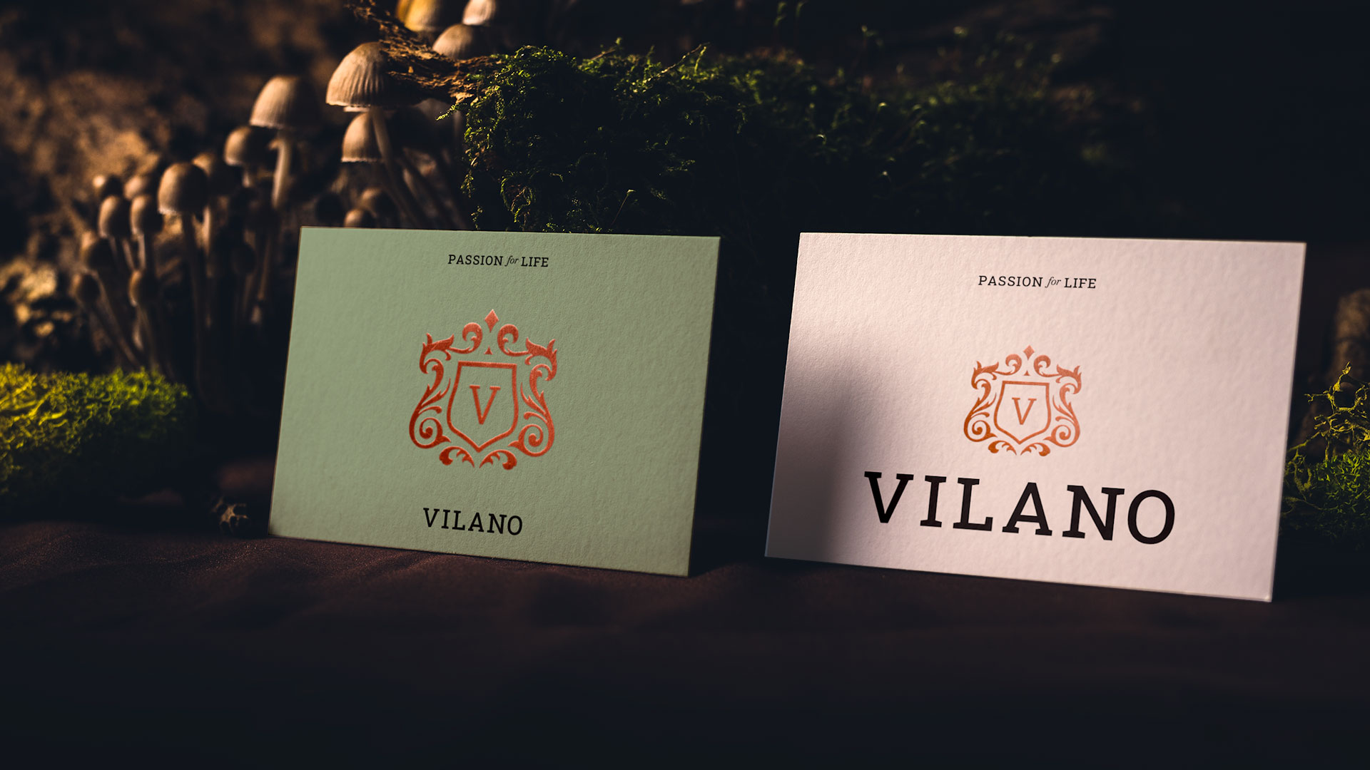 Vilano business cards with the crest
