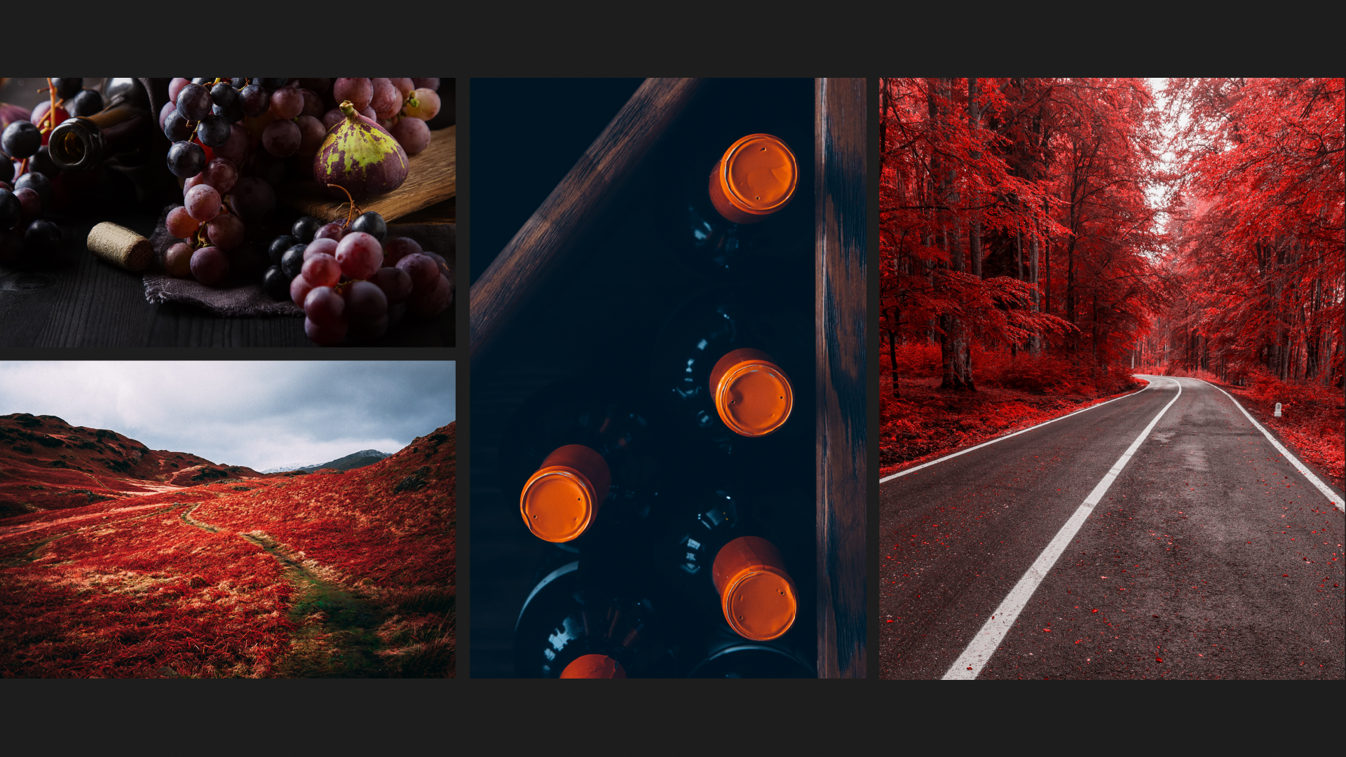 Vilano image style in red with grapes and wine bottles
