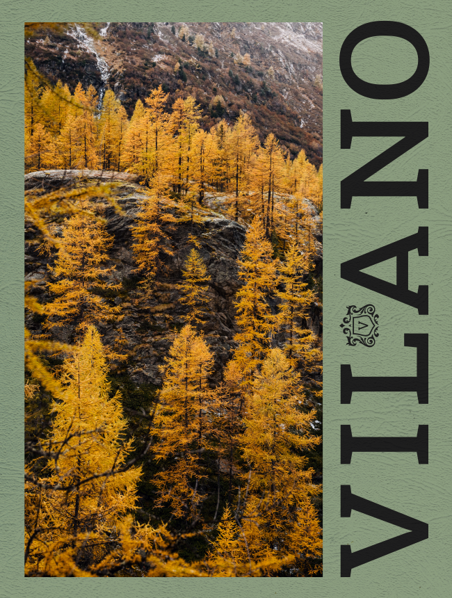 Vilano poster with an autumn forest