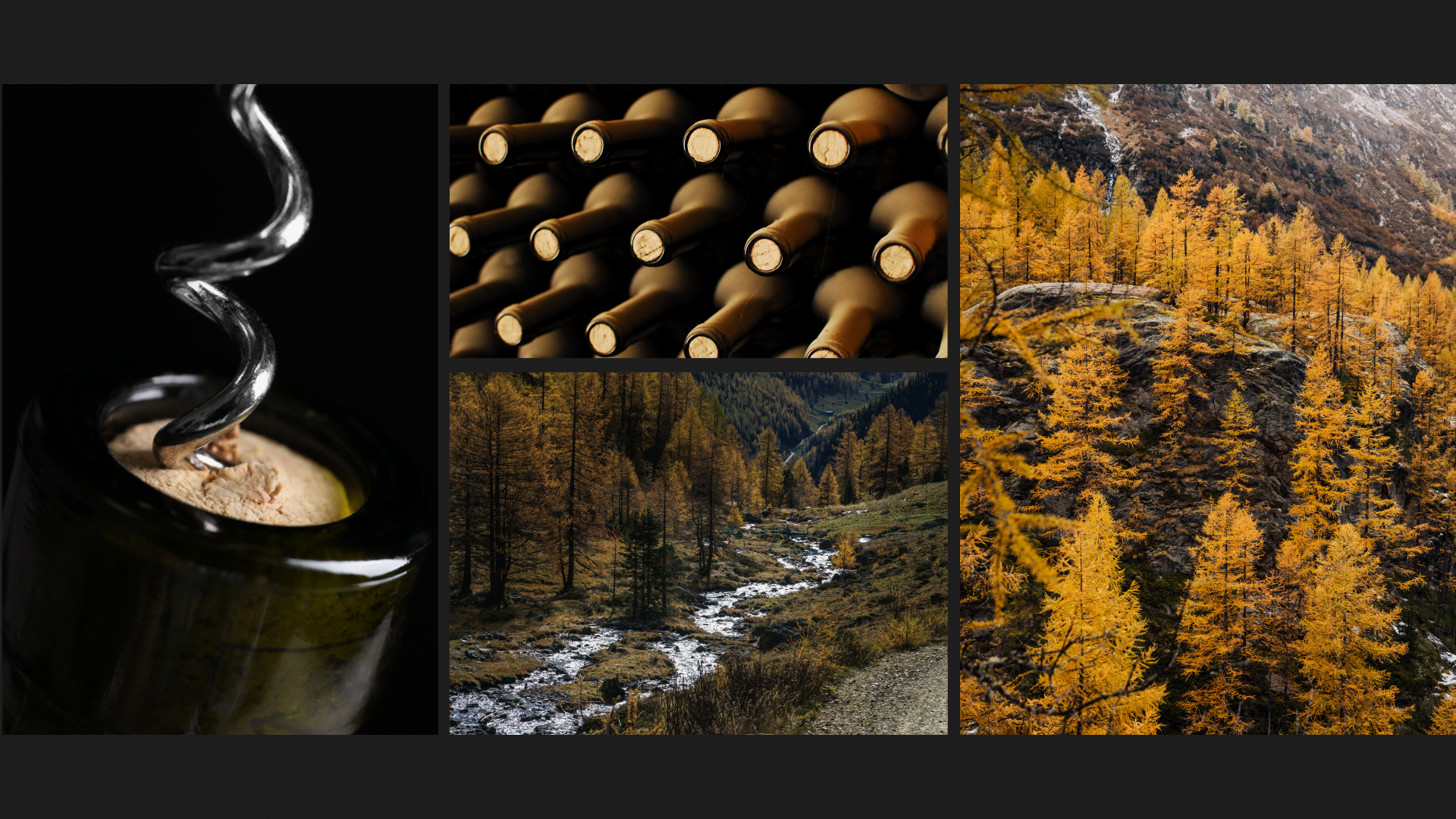 Vilano image style with wine bottles and autumn forest