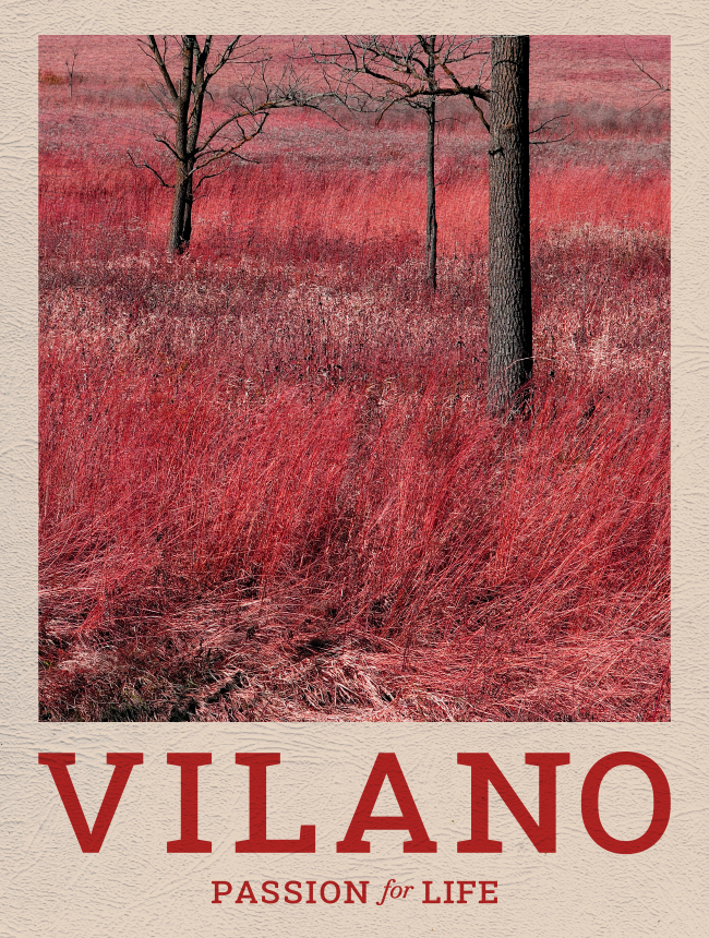 Vilano poster: Passion for life