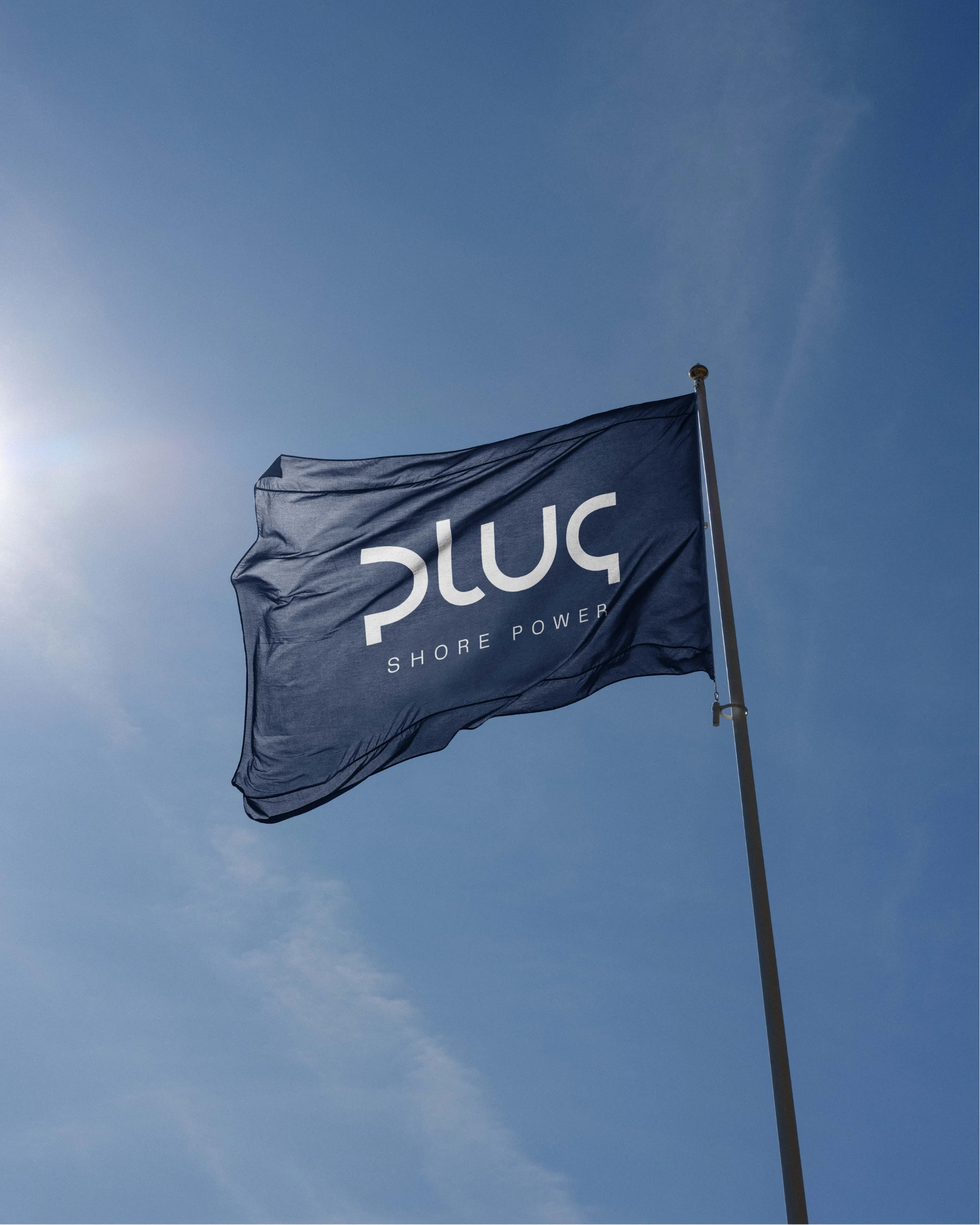 Flag with the Plug logo against the sky