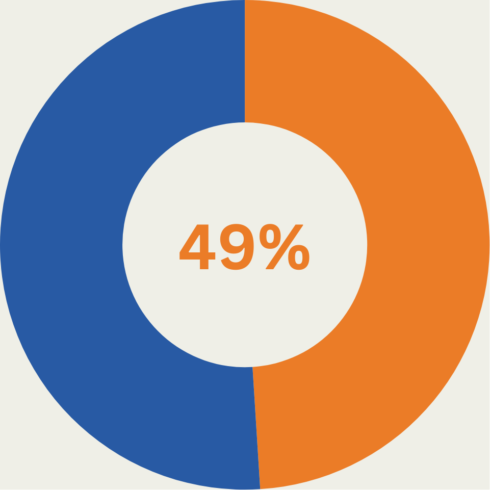 A donut graph showing 49%