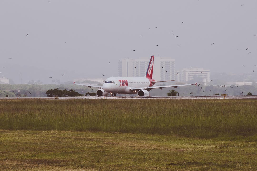 Rio de Janeiro Airport Guide: Comparisons + Features! [2025]