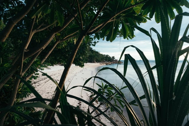 Full moon party location
