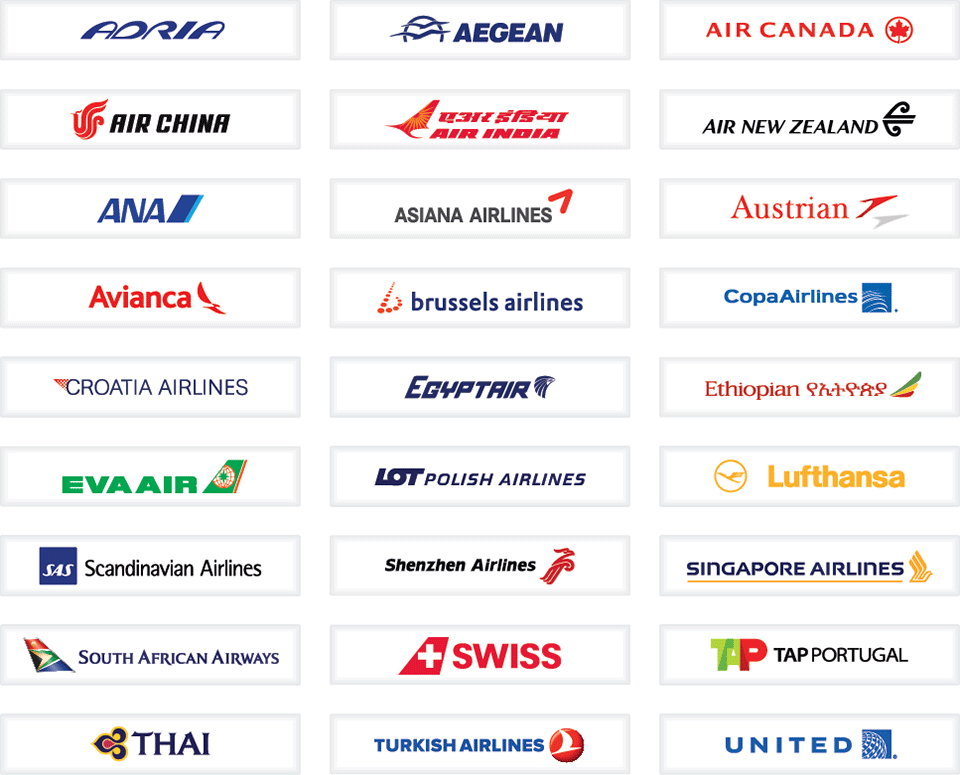 My screenshot of the list of airline partners with TAP Air Portugal