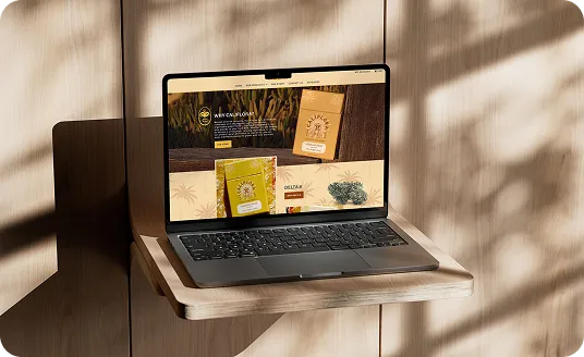 Laptop on a wooden shelf showing an ecommerce website RSNL Creative designed