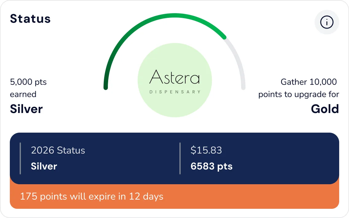 Customer loyalty status, points balance, and progress toward the next tier