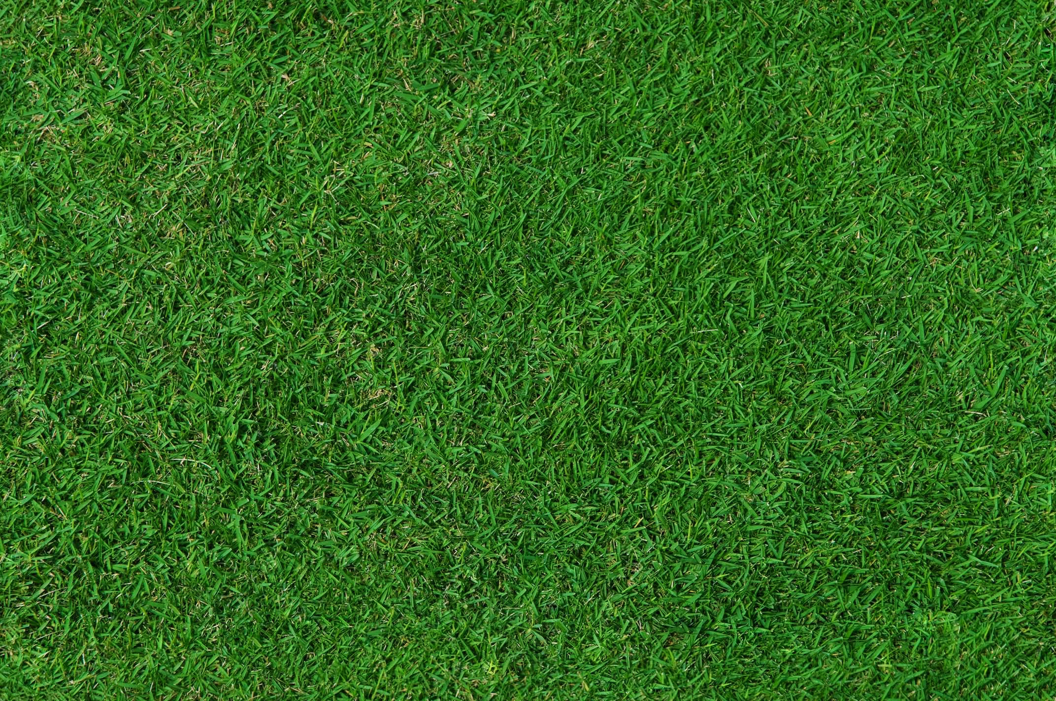 Lush green grass texture with detailed blades and vibrant color