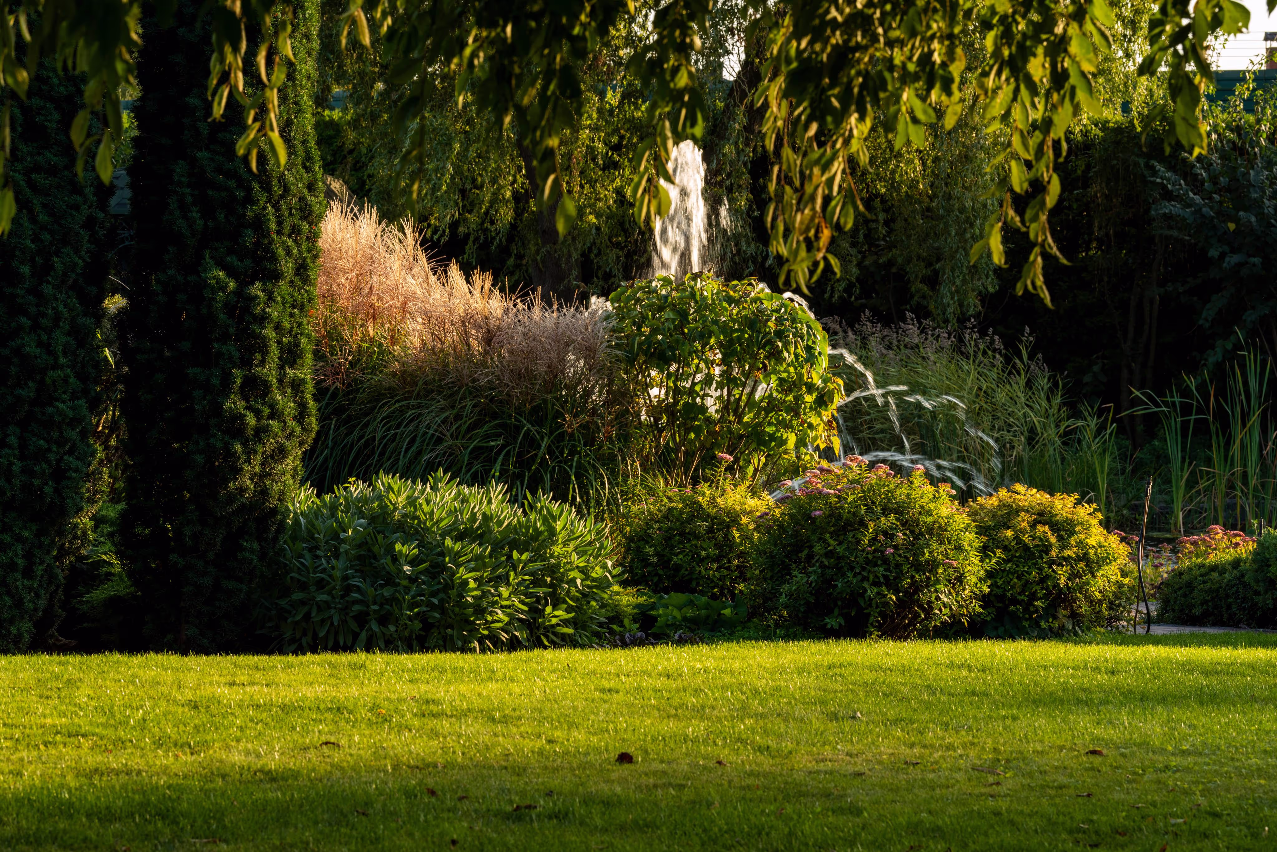 Lush garden with fountain, green lawn, ornamental grasses, and shrubs