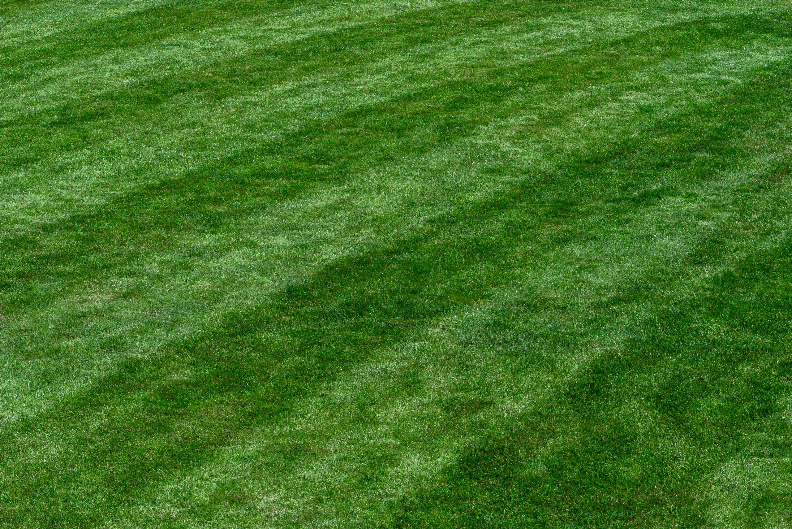 Green grass lawn with visible striped mowing patterns.