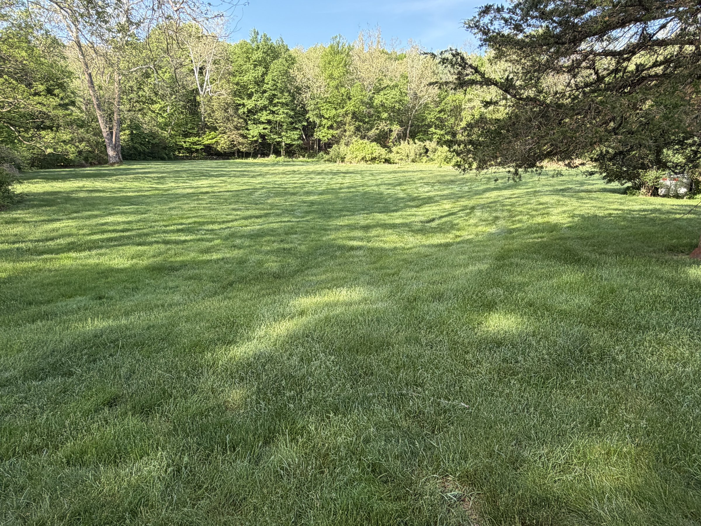 Lush, weed free, Green Connecticut Lawn