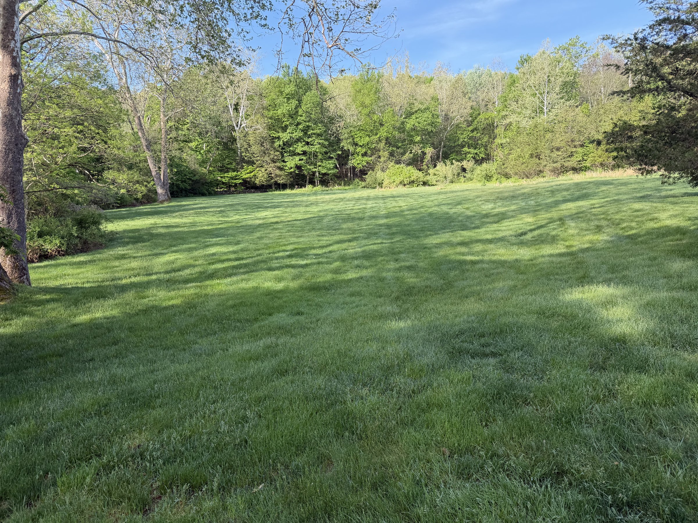 Connecticut lawn cared for by Pro Turf
