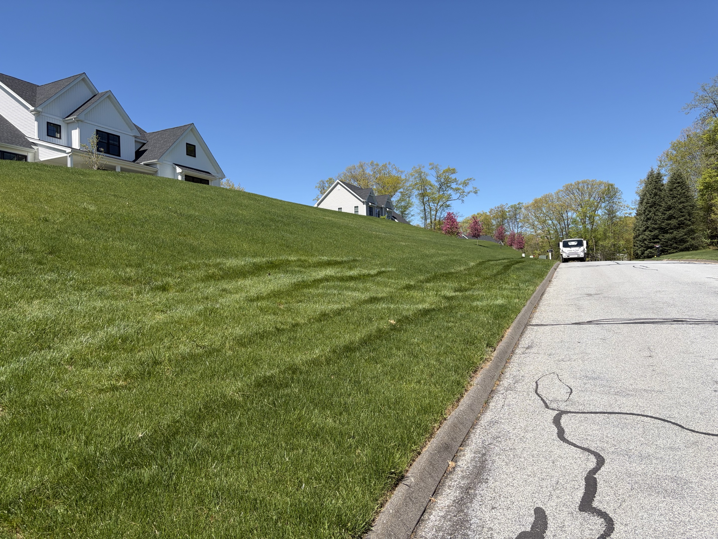 New grass coming up through the green mulch mat after hydroseeding
