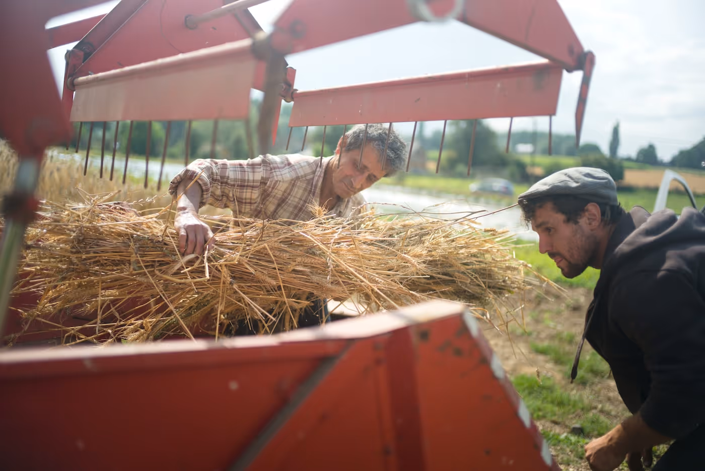 Transparency as the Foundation of a Fair Gastronomic Ecosystem