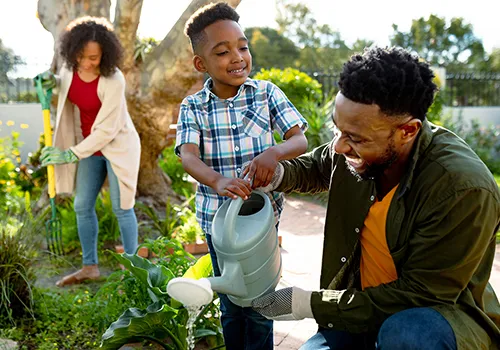 A vibrant outdoor scene depicts a family of three engaged in gardening. In the foreground, a young boy with short curly hair, wearing a blue and white plaid shirt, is holding a gray watering can and pouring water onto a plant. An adult man with a beard, wearing an olive-green shirt and gardening gloves, is kneeling beside the boy, smiling and observing. In the background, an adult woman with curly hair, dressed in a red shirt and light cardigan, is seen raking the soil. The setting appears to be a sunny garden with lush greenery and a large tree.


Sources and related content






