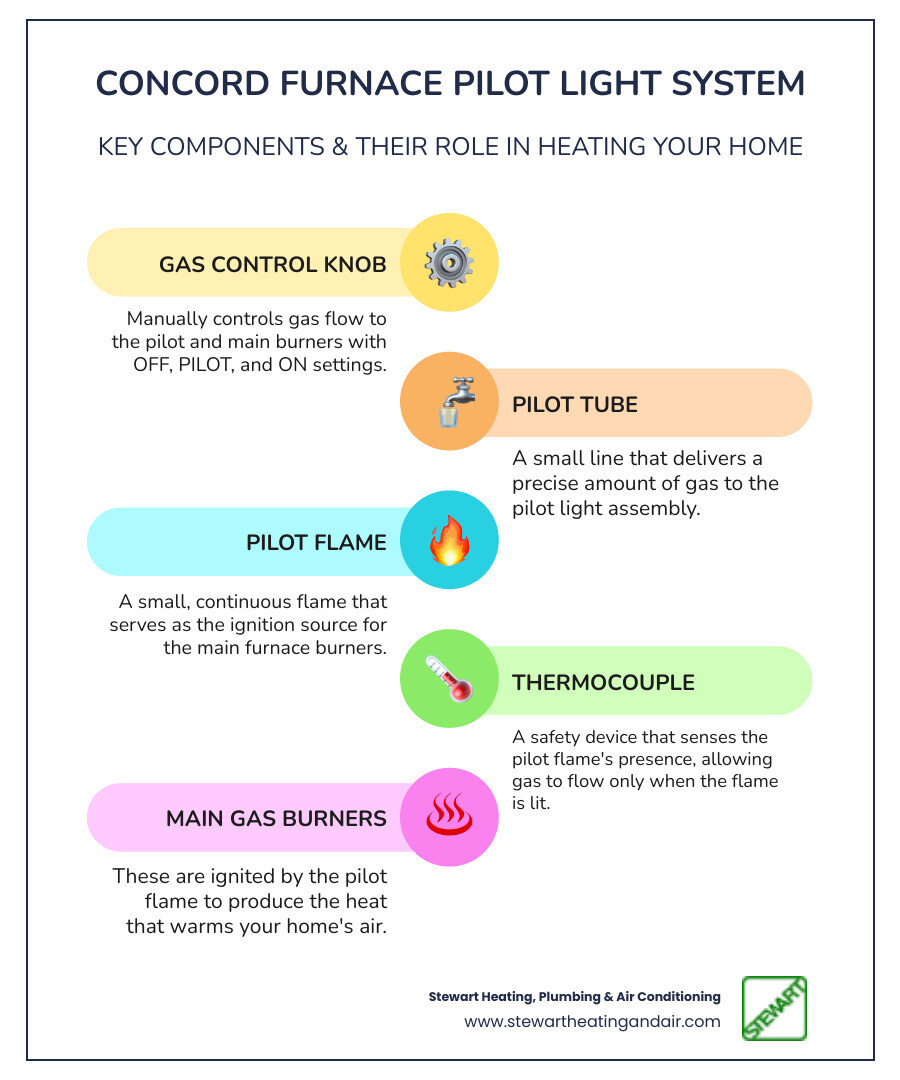 Detailed infographic showing Concord furnace pilot light components including the gas control valve, pilot tube, thermocouple sensor, pilot flame, and main gas burners with labels and arrows indicating gas flow direction - concord furnace pilot light infographic infographic-line-5-steps-colors