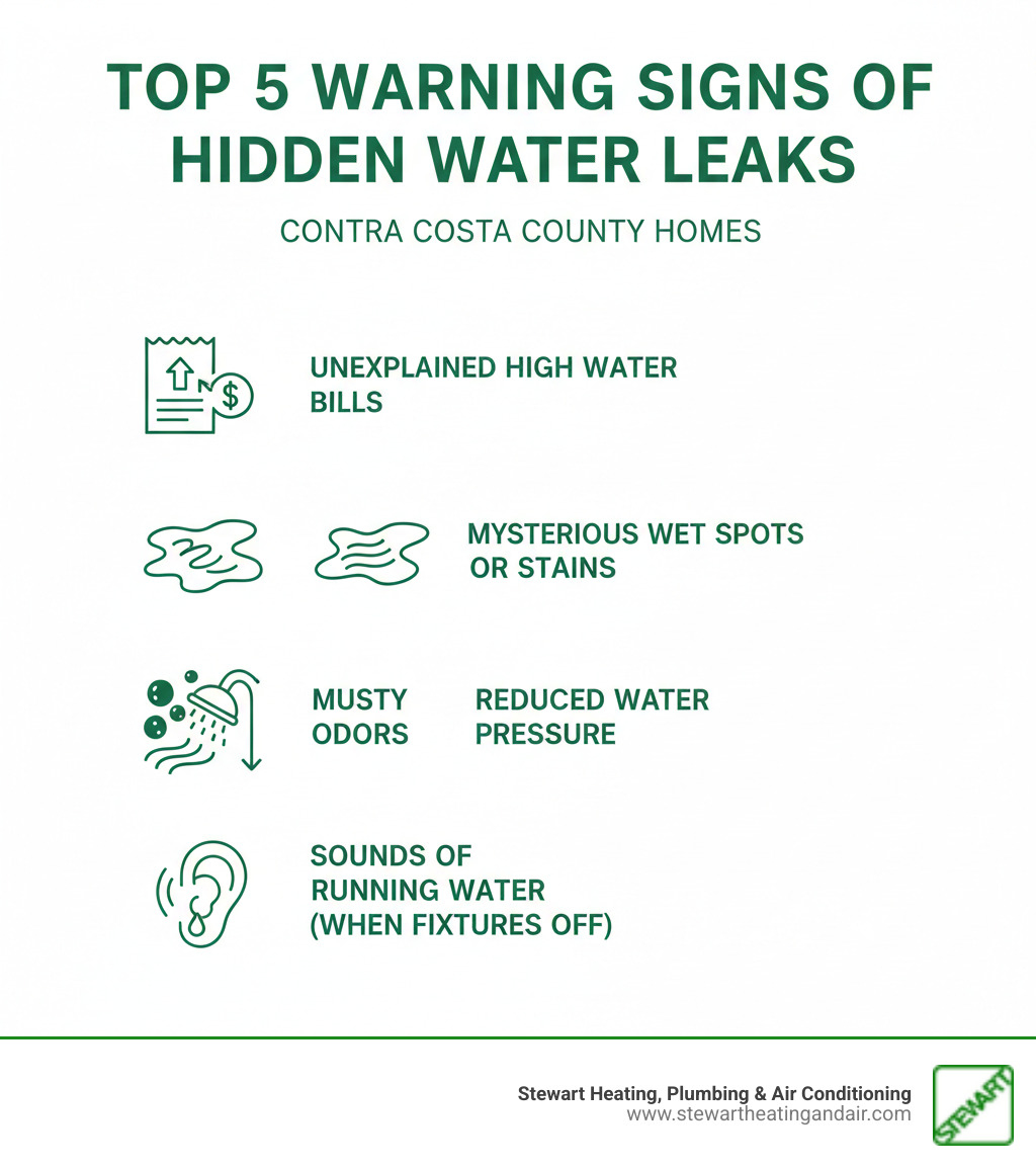 Infographic showing the top 5 warning signs of hidden water leaks: unexplained high water bills, mysterious wet spots or stains, musty mold odors, reduced water pressure throughout the home, and sounds of running water when all fixtures are turned off - leak detection contra costa county infographic Infographic showing the top 5 warning signs of hidden water leaks: unexplained high water bills, mysterious wet spots or stains, musty mold odors, reduced water pressure throughout the home, and sounds of running water when all fixtures are turned off - leak detection contra costa county infographic