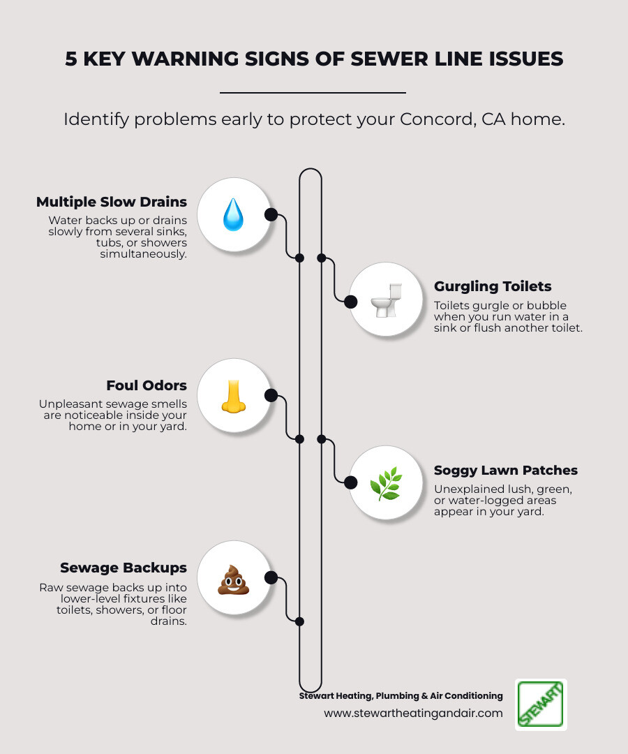infographic showing five warning signs of sewer line problems including multiple slow drains, gurgling sounds from toilets, foul sewage odors in the yard, unexplained soggy or green patches on the lawn, and sewage backups in lower-level fixtures - sewer line repair near me in Concord, CA infographic infographic-line-5-steps-elegant_beige infographic showing five warning signs of sewer line problems including multiple slow drains, gurgling sounds from toilets, foul sewage odors in the yard, unexplained soggy or green patches on the lawn, and sewage backups in lower-level fixtures - sewer line repair near me in Concord, CA infographic infographic-line-5-steps-elegant_beige