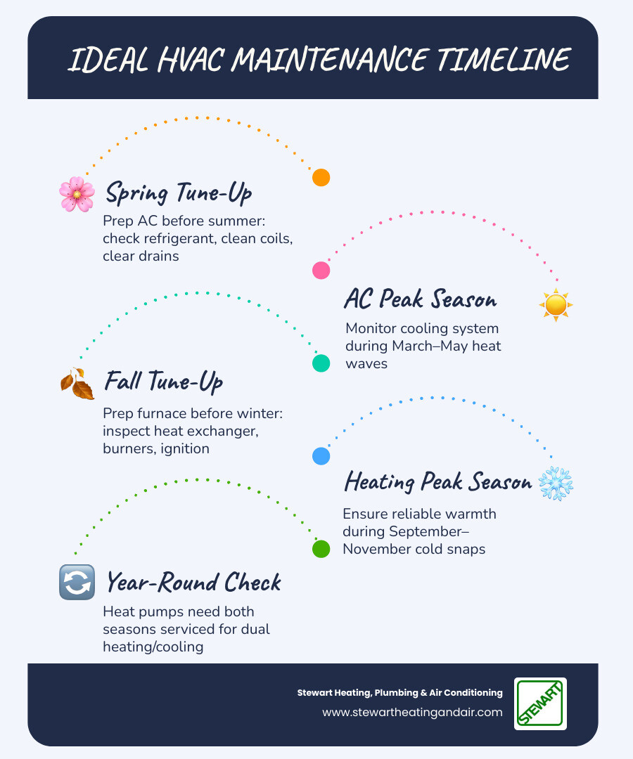 Infographic showing ideal HVAC maintenance timeline with spring AC and fall heating tune-up schedule - how often should you Infographic showing ideal HVAC maintenance timeline with spring AC and fall heating tune-up schedule - how often should you