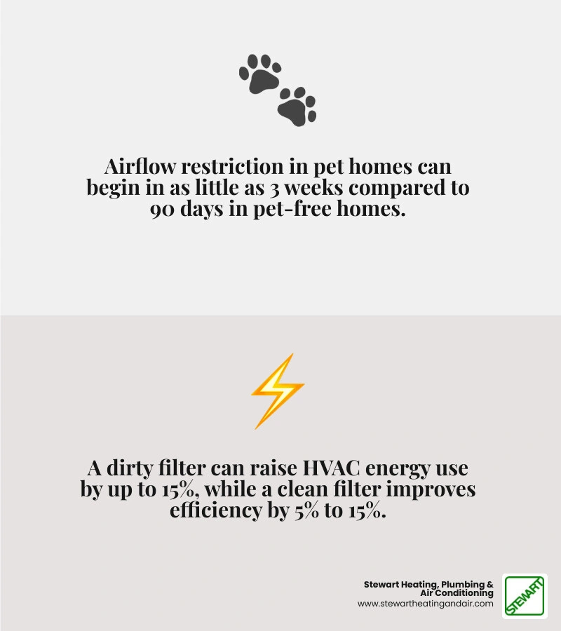 Infographic showing how pet hair and dander shorten HVAC filter life by household type and pet count infographic Infographic showing how pet hair and dander shorten HVAC filter life by household type and pet count infographic