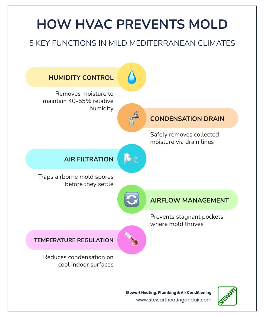 Infographic showing the relationship between indoor humidity levels and mold growth risk in Mediterranean climates Infographic showing the relationship between indoor humidity levels and mold growth risk in Mediterranean climates