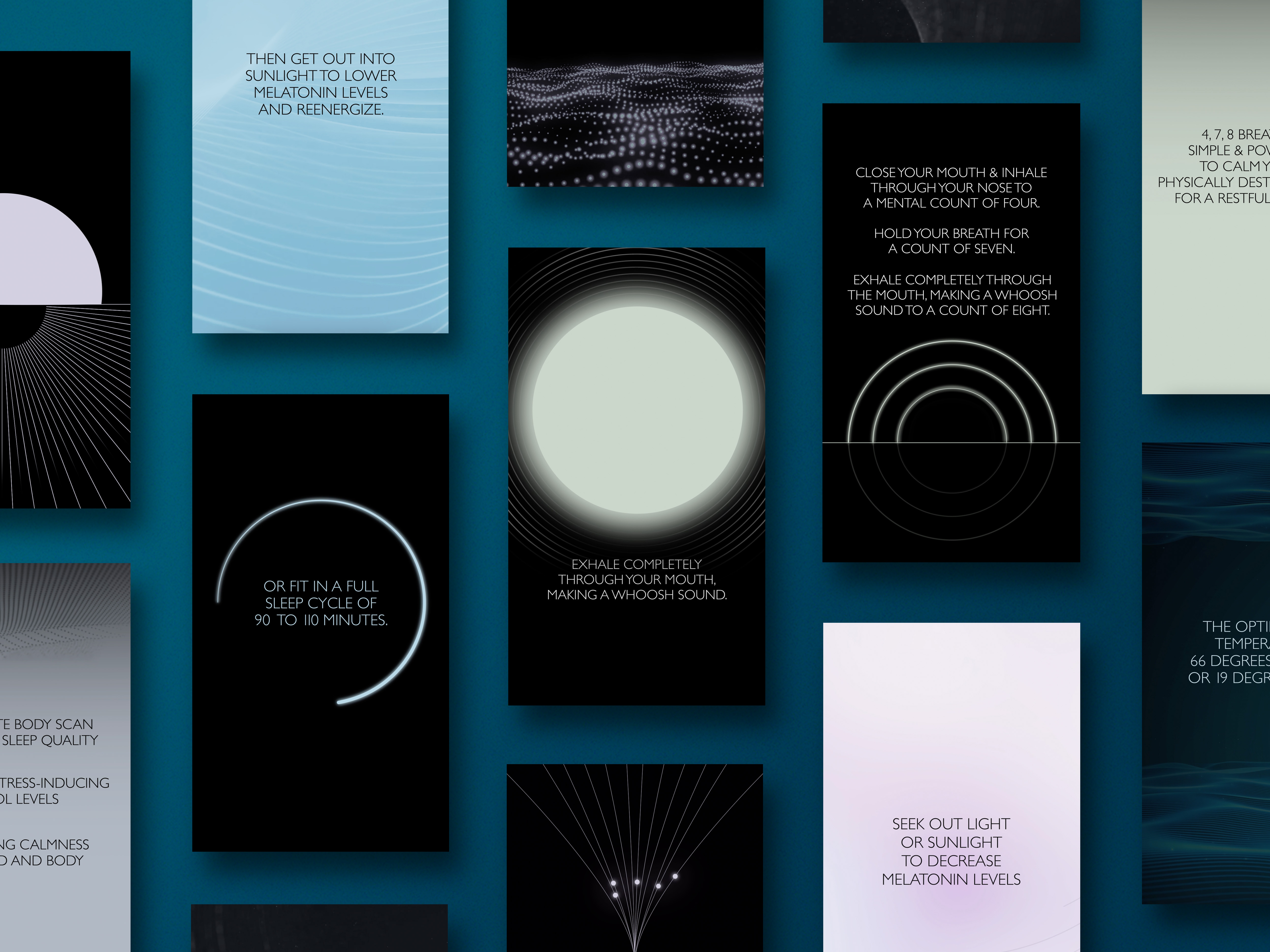 A grid of screens featuring images from the campaign that were used for social media stories.