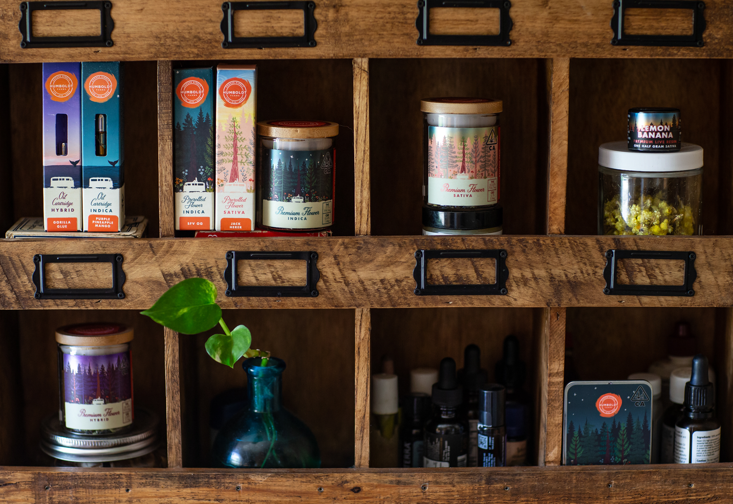 This is a photo of an apothecary-like shelf with various Humboldt Farms products on it. Some are in boxes, others are in jars. There are also some living plants on the shelves, which are made of wood.