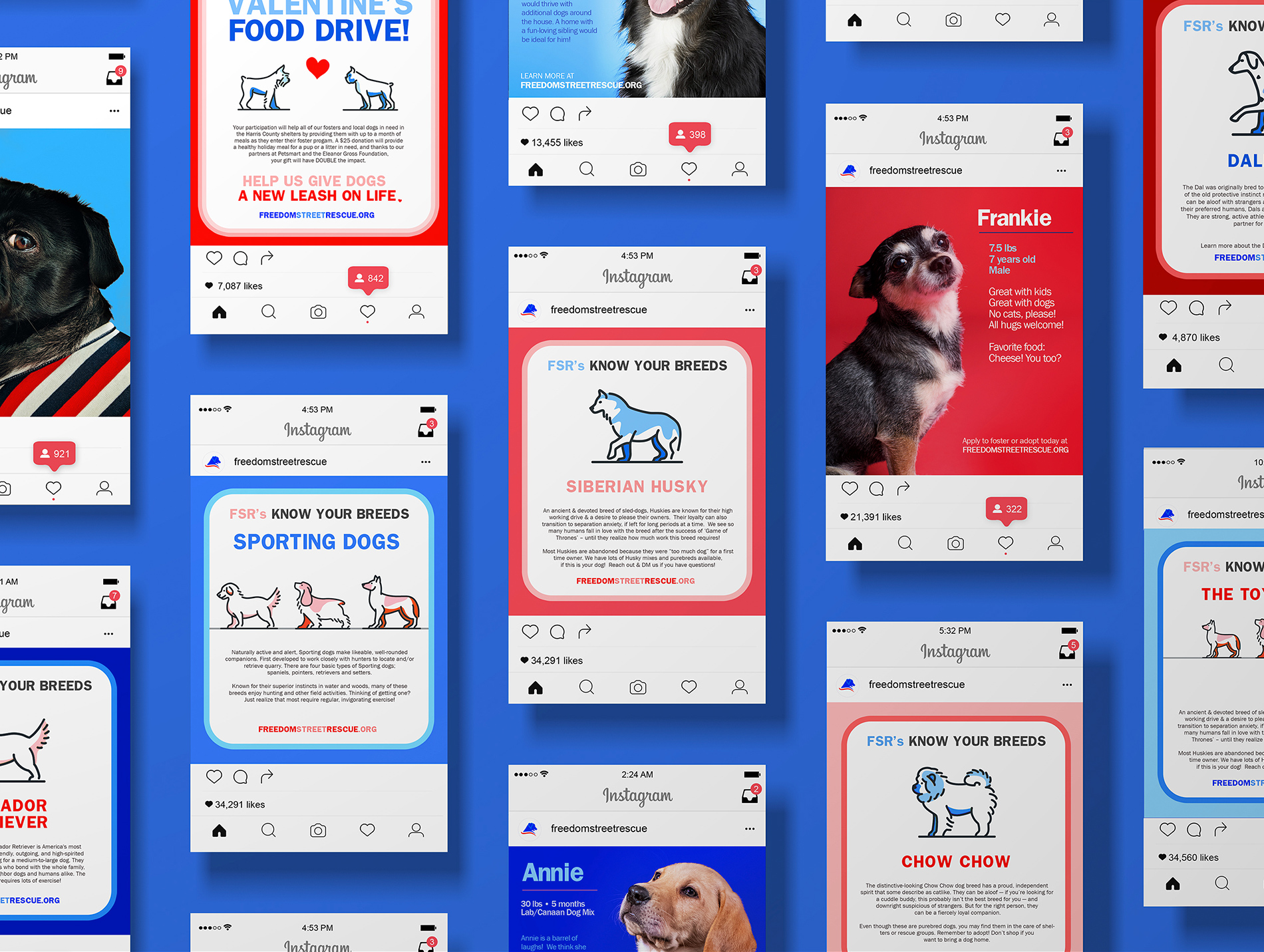 This is an image of a series of instagram posts from Freedom Street on a blue background, featuring informational content about different dog breeds and various dogs that are up for adoption. 
